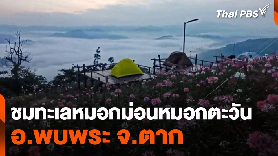 ชมทะเลหมอกม่อนหมอกตะวัน อ.พบพระ จ.ตาก