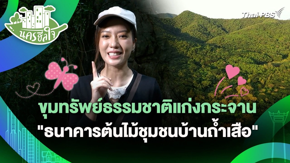 ขุมทรัพย์ธรรมชาติแก่งกระจาน "ธนาคารต้นไม้ชุมชนบ้านถ้ำเสือ" | นครฮีลใจ