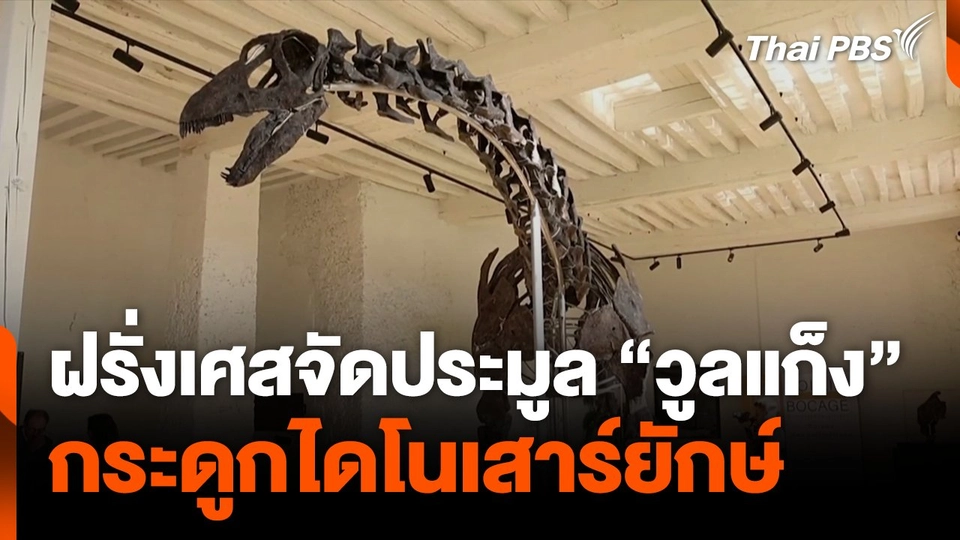 ฝรั่งเศสจัดประมูล "วูลแก็ง"กระดูกไดโนเสาร์ยักษ์