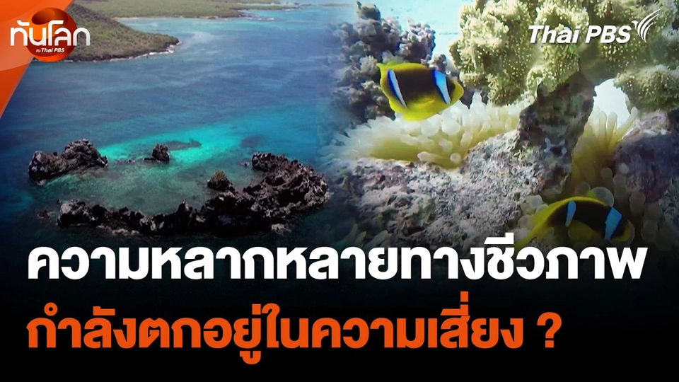 ความหลากหลายทางชีวภาพตกอยู่ในความเสี่ยง