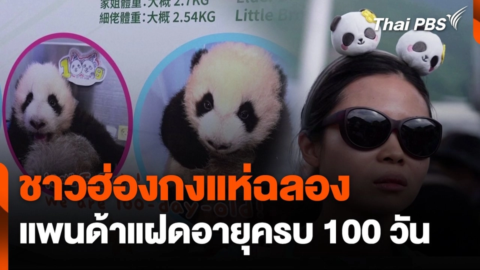 ชาวฮ่องกงแห่ฉลองแพนด้าแฝดอายุครบ 100 วัน