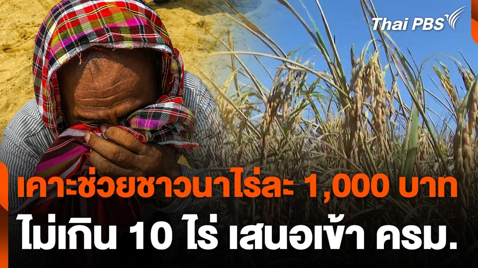 เคาะช่วยชาวนาไร่ละ 1,000 บาท ไม่เกิน 10 ไร่ เสนอเข้า ครม.