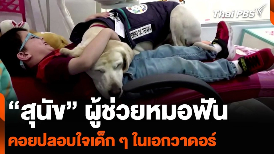 “สุนัข” ผู้ช่วยหมอฟัน คอยปลอบใจเด็ก ๆ ในเอกวาดอร์