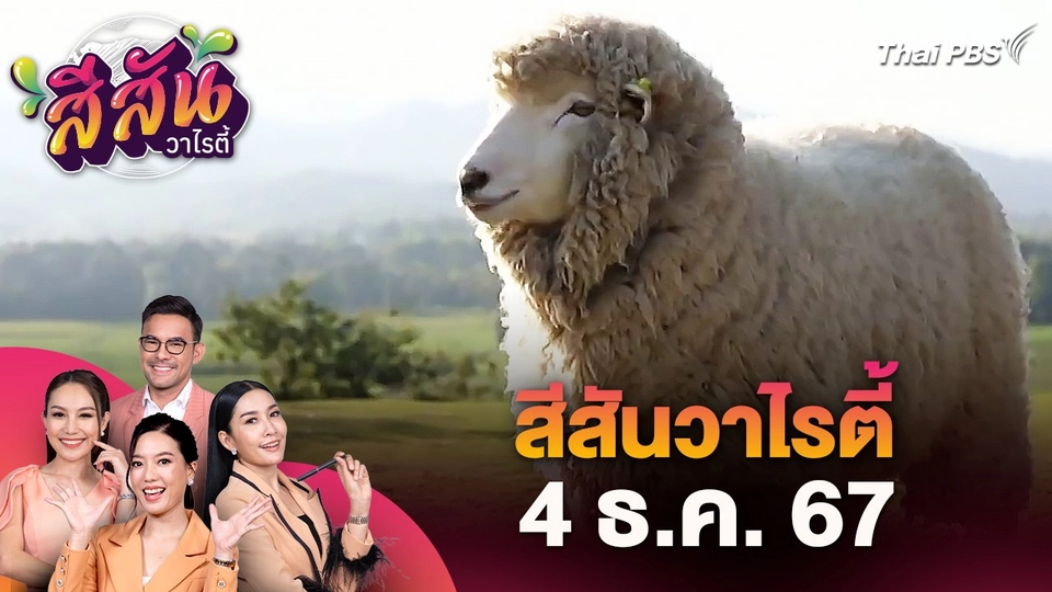 สีสันวาไรตี้ (4 ธ.ค. 67)