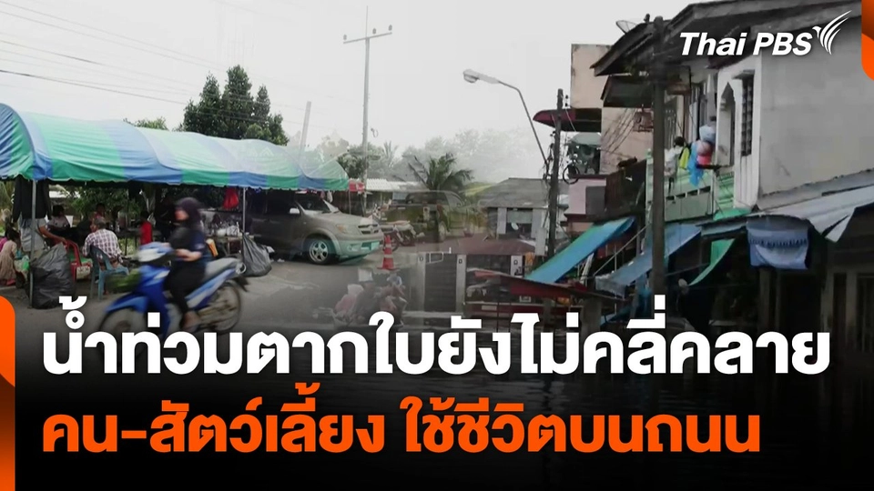 น้ำท่วมตากใบยังไม่คลี่คลาย คน-สัตว์เลี้ยง ใช้ชีวิตบนถนน