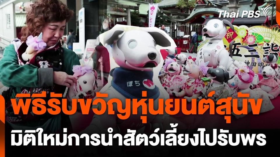 พิธีรับขวัญหุ่นยนต์สุนัขในญี่ปุ่น มิติใหม่ของการนำสัตว์เลี้ยงไปรับพร