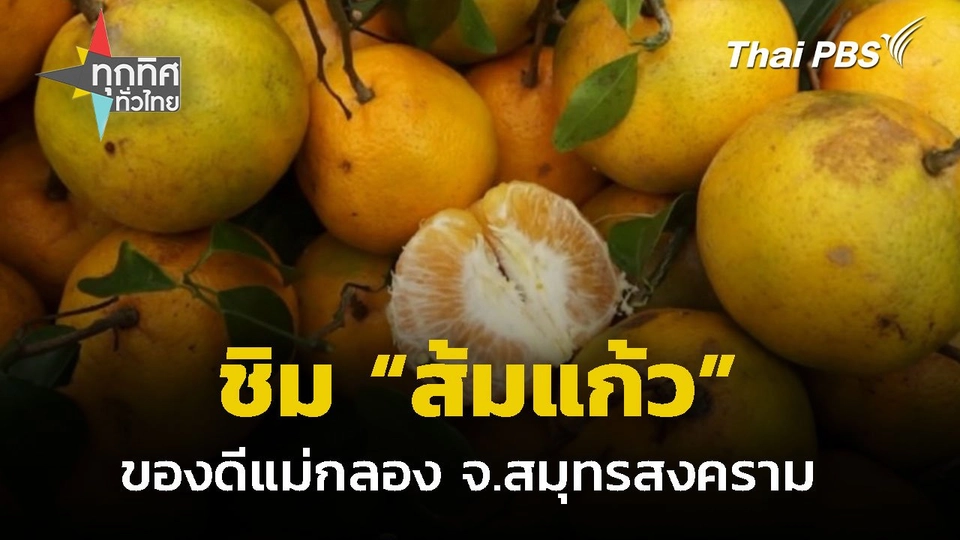 “ส้มแก้ว” ของดีอำเภอแม่กลอง จ.สมุทรสงคราม