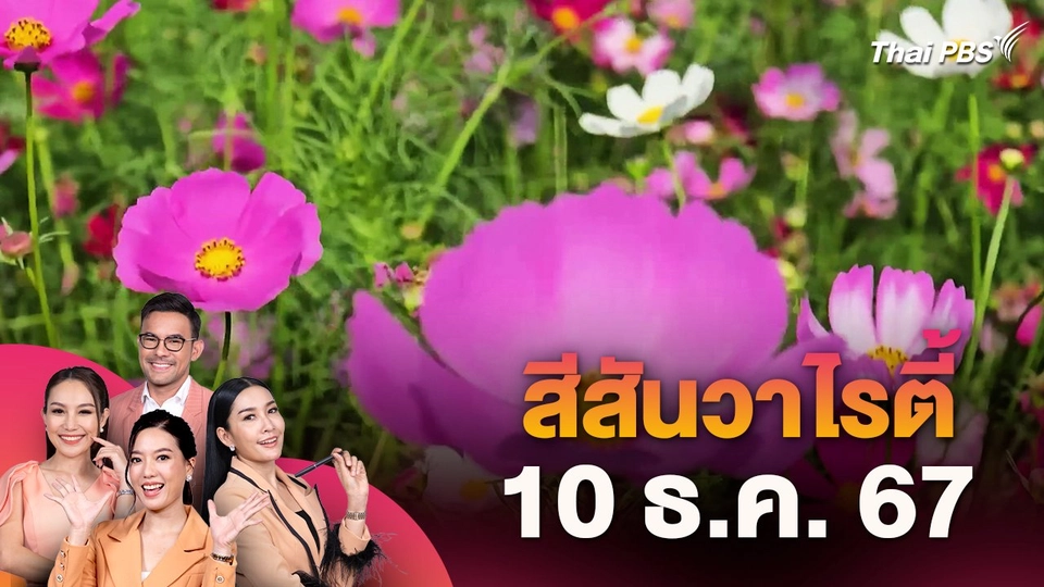 สีสันวาไรตี้ (10 ธ.ค. 67)