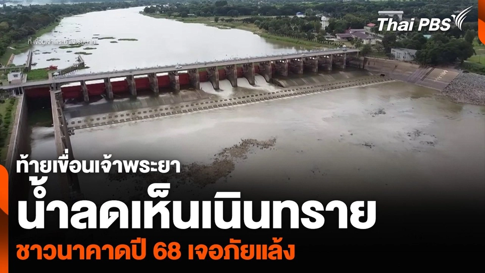 ท้ายเขื่อนเจ้าพระยา น้ำลดเห็นเนินทราย ชาวนาคาดปี 68 เจอภัยแล้ง