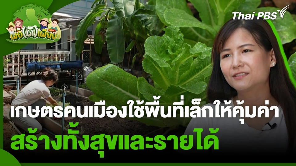 พอดีพอเพียง : เกษตรคนเมืองใช้พื้นที่เล็กให้คุ้มค่า สร้างทั้งสุขและรายได้
