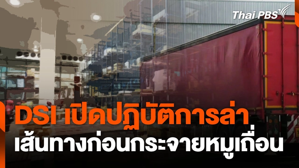 DSI เปิดปฏิบัติการล่าเส้นทางหมูเถื่อน