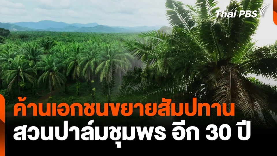 ค้านเอกชนขยายสัมปทานสวนปาล์มชุมพร อีก 30 ปี