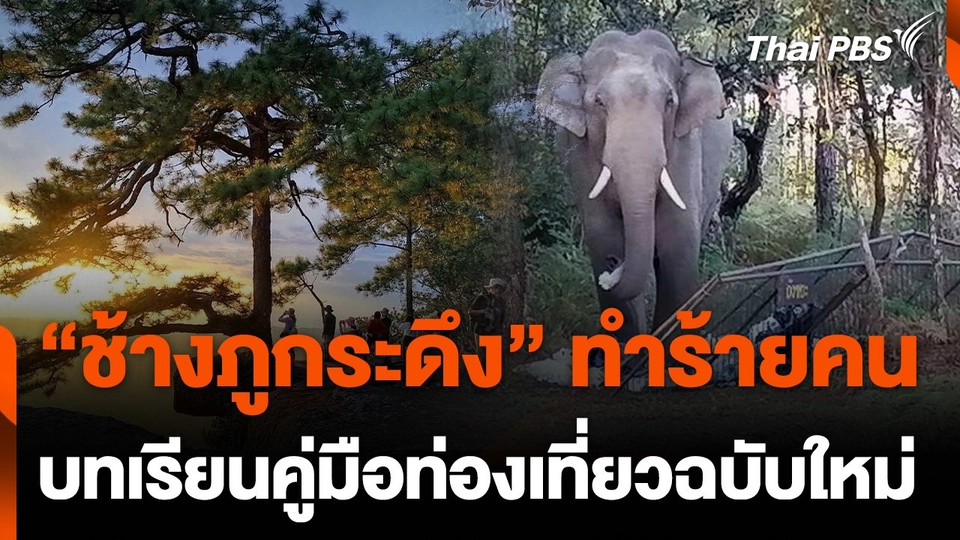 “ช้างภูกระดึง” ทำร้ายคน บทเรียนคู่มือท่องเที่ยวฉบับใหม่
