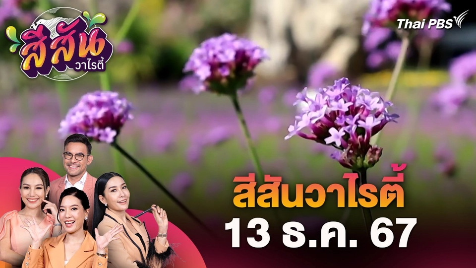 สีสันวาไรตี้ (13 ธ.ค. 67)