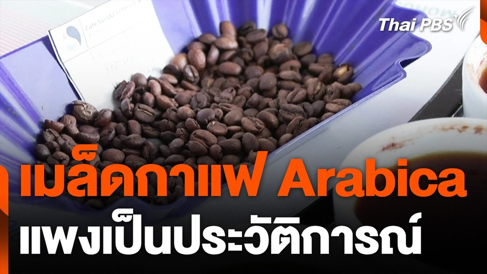 เมล็ดกาแฟ Arabica แพงเป็นประวัติการณ์