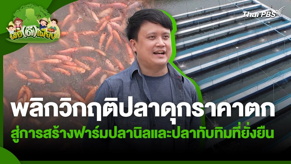 พอดีพอเพียง : พลิกวิกฤติปลาดุกราคาตก สู่การสร้างฟาร์มปลานิลและปลาทับทิมที่ยั่งยืน