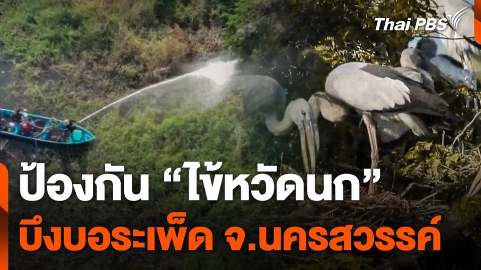 ป้องกัน "ไข้หวัดนก" บึงบอระเพ็ด จ.นครสวรรค์