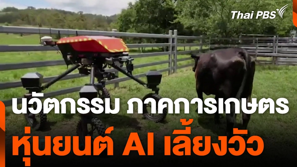นวัตกรรม ภาคการเกษตร หุ่นยนต์ AI เลี้ยงวัว