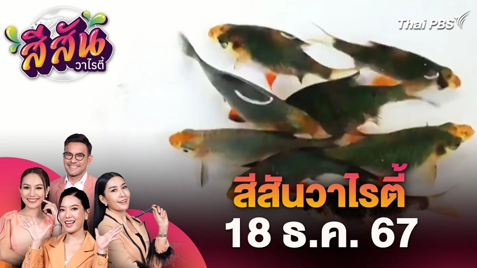 สีสันวาไรตี้ (18 ธ.ค. 67)