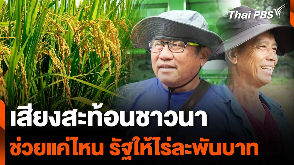 เสียงสะท้อนชาวนา ช่วยมากแค่ไหน รัฐให้ไร่ละ 1,000 บาท