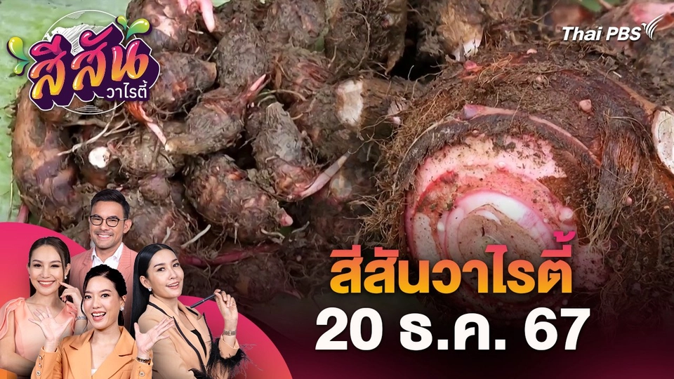 สีสันวาไรตี้ (20 ธ.ค. 67)