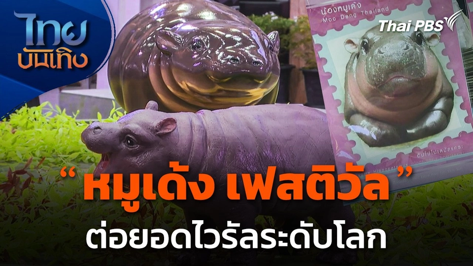 ปังไม่หยุด ฉุดไม่อยู่ "หมูเด้ง เฟสติวัล" ต่อยอดไวรัลระดับโลก
