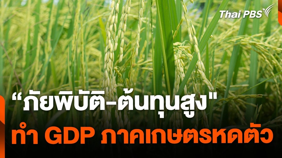 "ภัยพิบัติ-ต้นทุนสูง" ทำ GDP ภาคเกษตรหดตัว