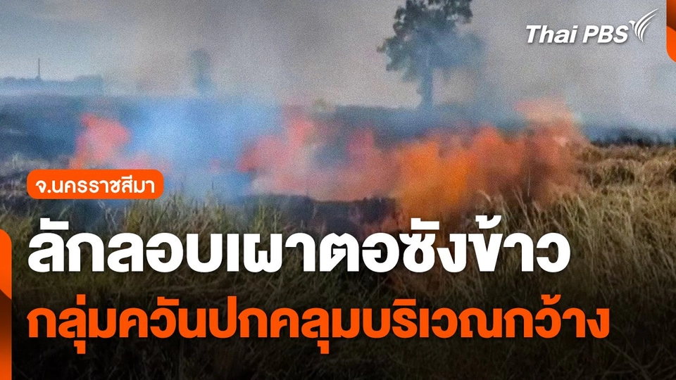ลักลอบเผาตอซังข้าว จ.นครราชสีมา
