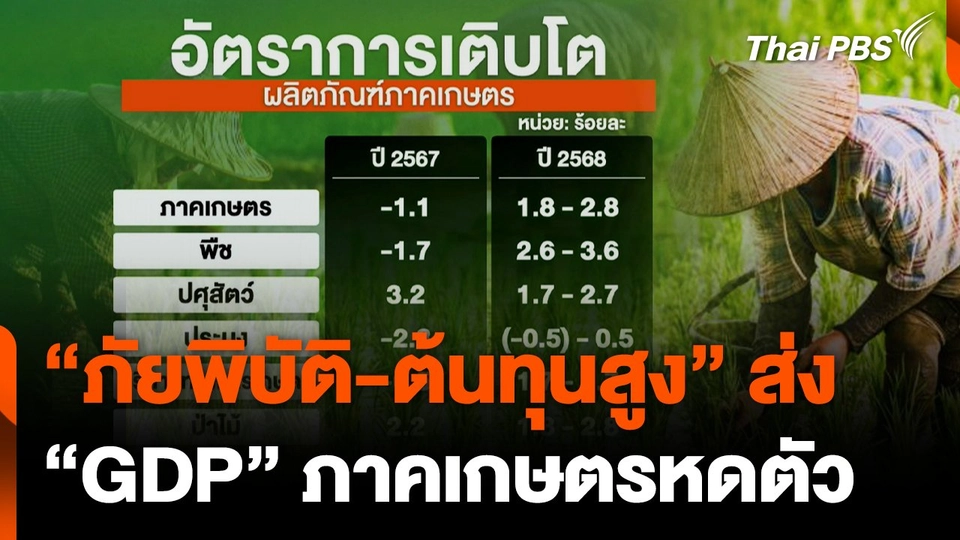 "ภัยพิบัติ-ต้นทุนสูง" ส่ง "GDP" ภาคเกษตร หดตัว