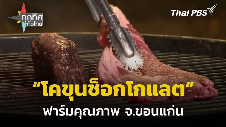 โคขุนช็อกโกแลตเจ้าแรก ระบบฟาร์มเลี้ยงคุณภาพ