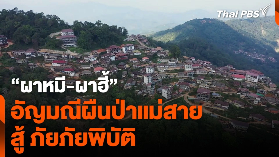 “ผาหมี-ผาฮี้” อัญมณีผืนป่าแม่สาย สู้ ภัยภัยพิบัติ