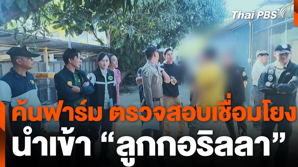 ค้นฟาร์ม ตรวจสอบเชื่อมโยง นำเข้า “ลูกกอริลลา”