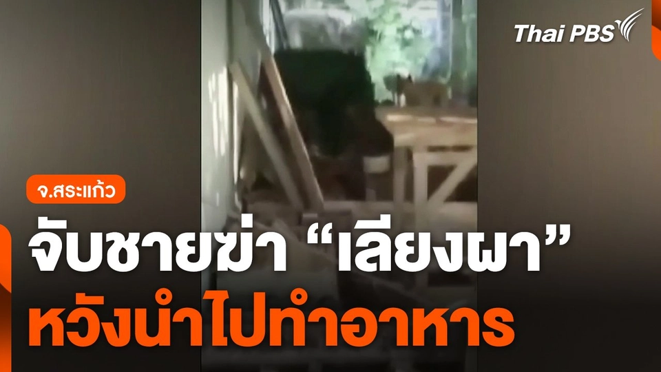 จับชายฆ่า "เลียงผา" หวังนำไปทำอาหาร จ.สระแก้ว