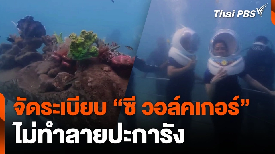 จัดระเบียบ "ซี วอล์คเกอร์" ไม่ทำลายปะการัง