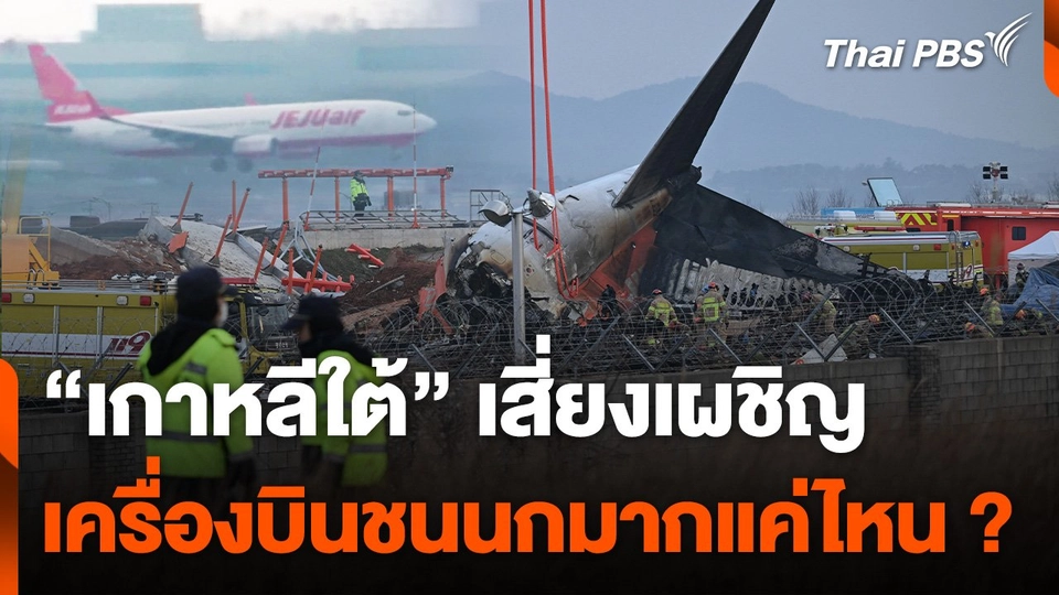 “เกาหลีใต้” เสี่ยงเผชิญ เครื่องบินชนนก แค่ไหน ?