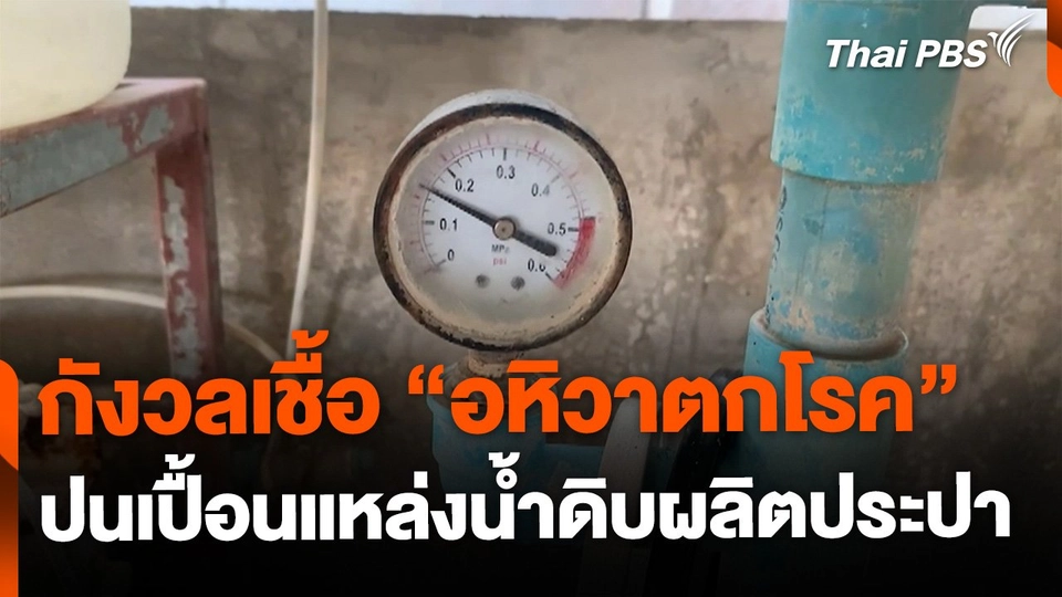 กังวลเชื้อ "อหิวาตกโรค" ปนเปื้อนแหล่งน้ำดิบผลิตประปา