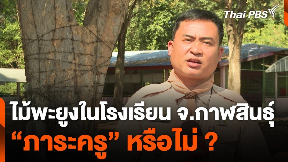 ไม้พะยูงในโรงเรียน "ภาระครู" หรือไม่ ?