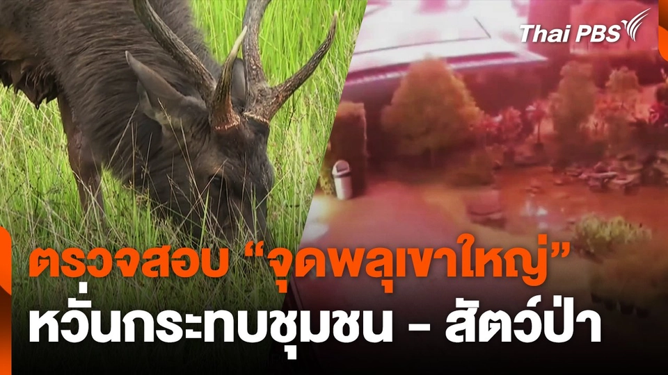 ตรวจสอบจุดพลุเขาใหญ่ หวั่นกระทบชุมชน - สัตว์ป่า