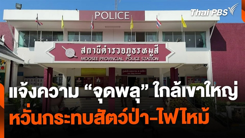 แจ้งความ "จุดพลุ" ใกล้เขาใหญ่ หวั่น "กระทบสัตว์ป่า-เสี่ยงเกิดอัคคีภัย