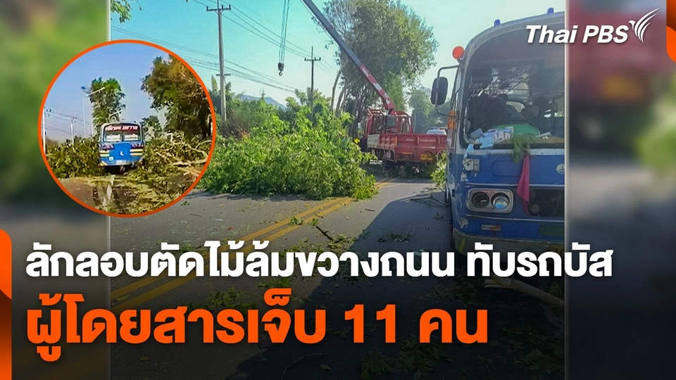 ลักลอบตัดไม้ล้มขวางถนน ทับรถบัส ผู้โดยสารเจ็บ 11 คน