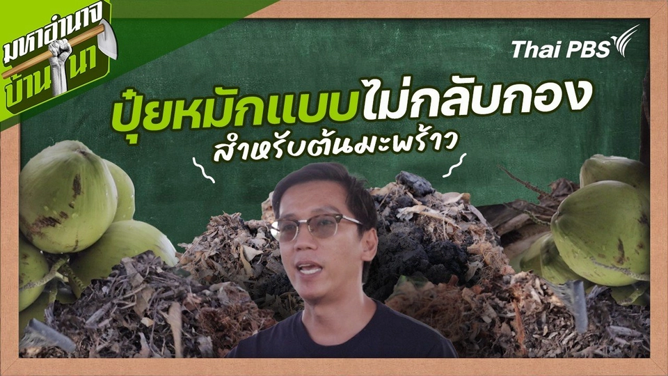 สูตรลับฉบับบ้านนา : ปุ๋ยหมักแบบไม่กลับกองสำหรับต้นมะพร้าว