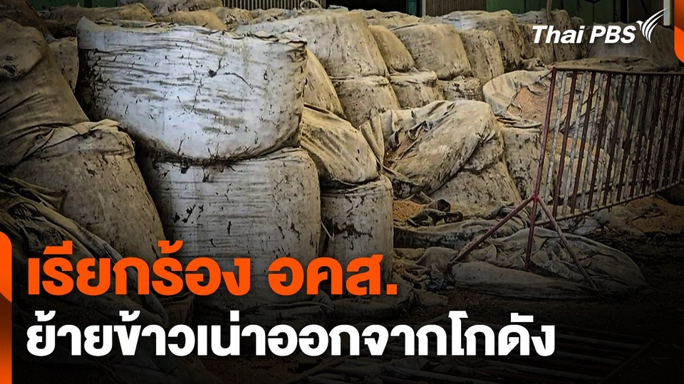 เรียกร้อง อคส. ย้ายข้าวเน่าออกจากโกดัง