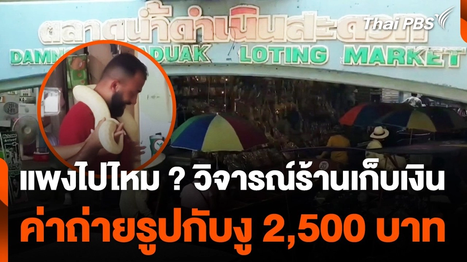 วิจารณ์ร้านเก็บเงินนักท่องเที่ยว ค่าถ่ายรูปกับงู 2,500 บาท