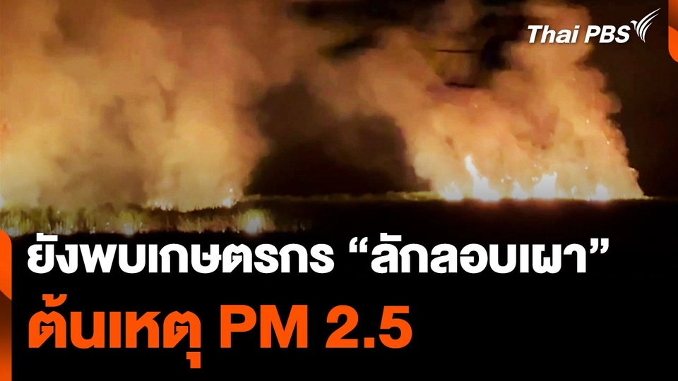 ยังพบเกษตรกร "ลักลอบเผา" ต้นเหตุ PM 2.5