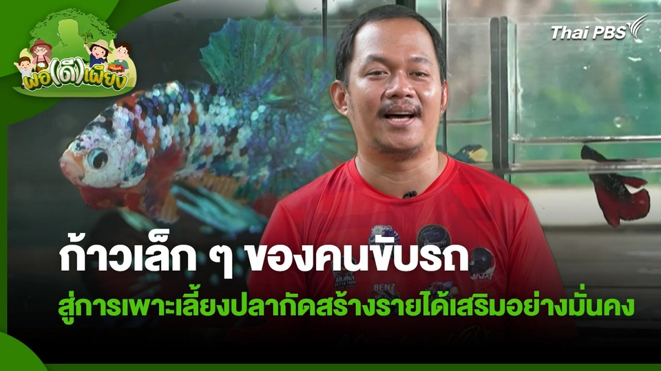 พอดีพอเพียง : ก้าวเล็ก ๆ ของคนขับรถ สู่การเพาะเลี้ยงปลากัดสร้างรายได้เสริมอย่างมั่นคง