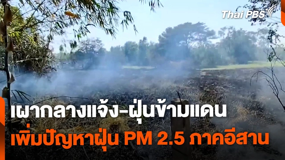 เผากลางแจ้ง-ฝุ่นข้ามแดน เพิ่มปัญหาฝุ่น PM 2.5 ภาคอีสาน