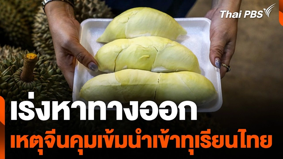 เร่งหาทางออกหลังจีนคุมเข้มนำเข้า "ทุเรียนไทย"