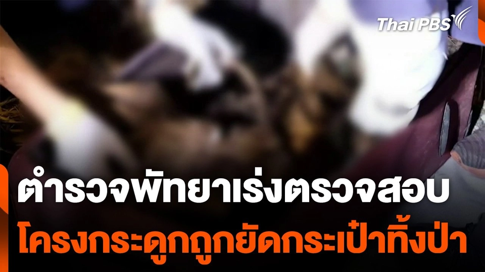 ตำรวจพัทยาเร่งตรวจสอบ โครงกระดูกถูกยัดกระเป๋าทิ้งป่า จ.ชลบุรี