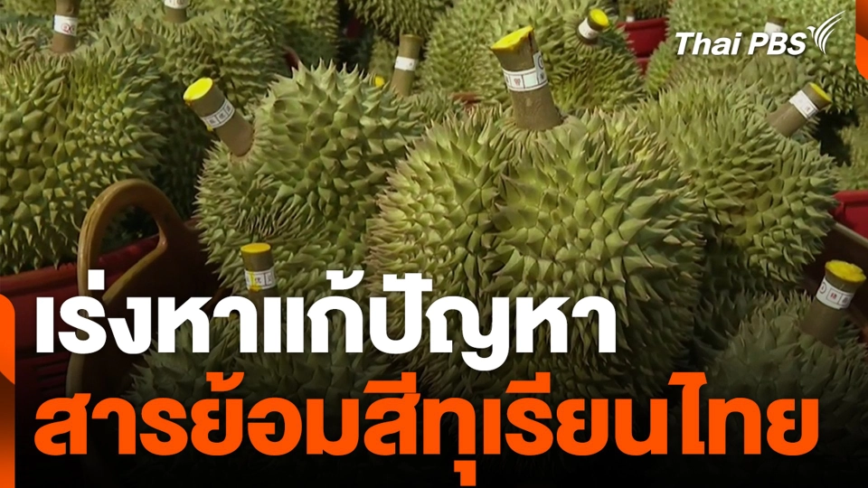 เร่งหาแก้ปัญหา สารย้อมสีทุเรียนไทย