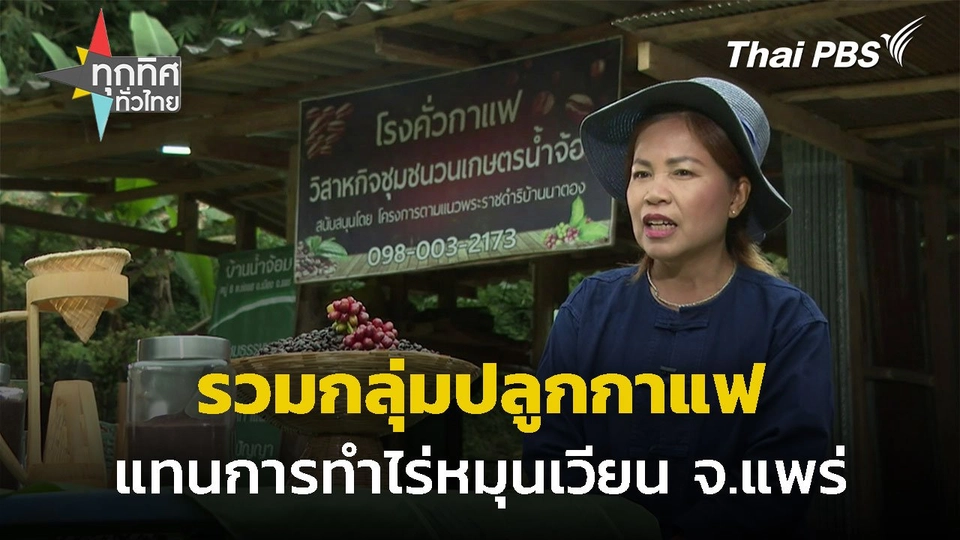 รวมกลุ่มปลูกกาแฟแทนการทำไร่หมุนเวียน จ.แพร่